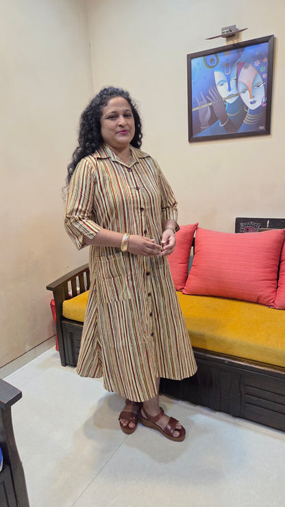 Mother Multicolor Vertical Shirt Dress in Cotton